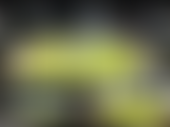 Illuminating Sri Lanka’s Cricketing Legacy: DIMO’s Journey in Stadium Floodlighting.