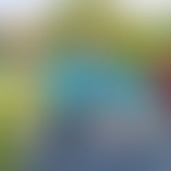 Mini Fundraisers, Major Impact: How a Yard Sale Became a Teal Triumph