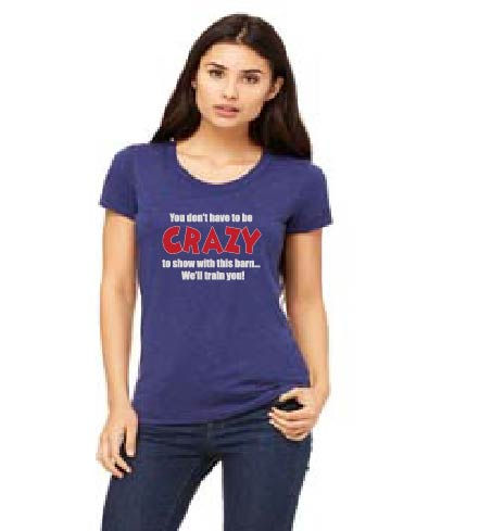 Bella + Canvas Ladies' Triblend Short-Sleeve T-Shirt