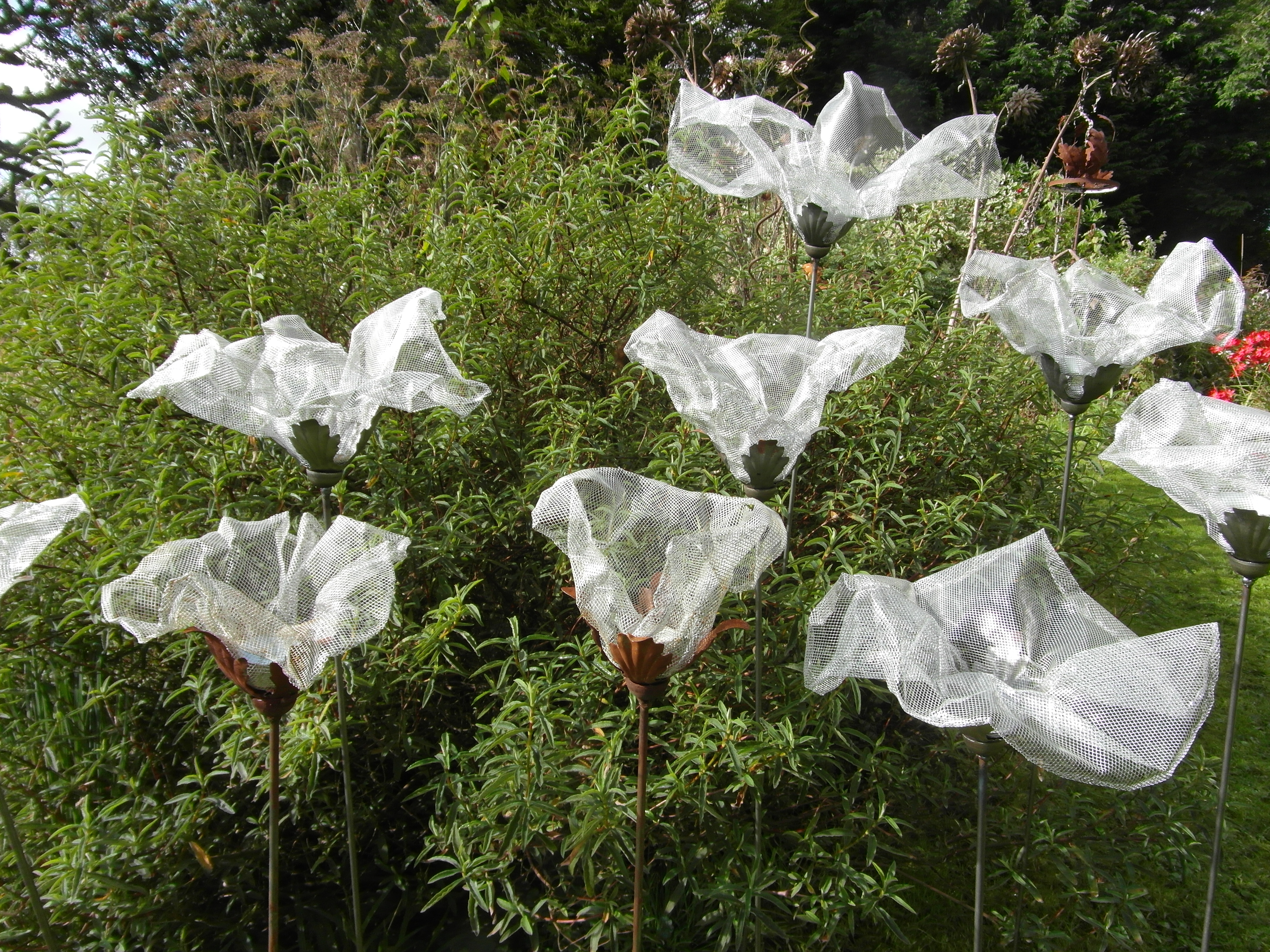 Ghost Flowers. Unavailable.