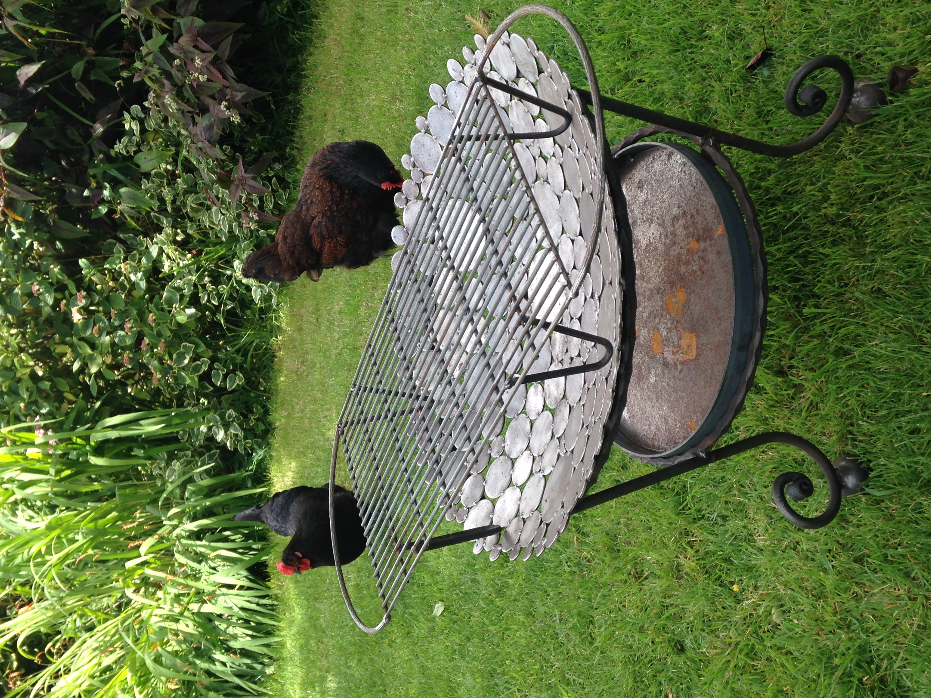 Baby Fire Dish