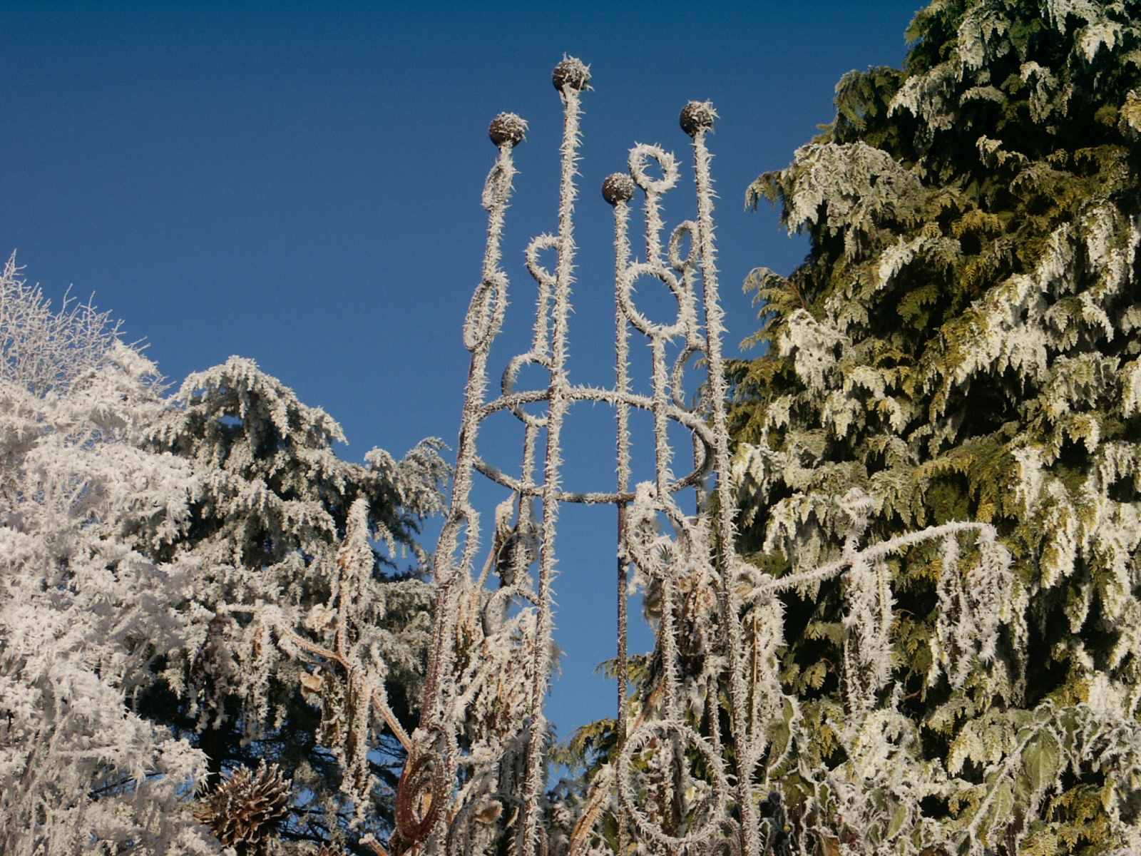Frosty Obelisk Sweetpea Tower