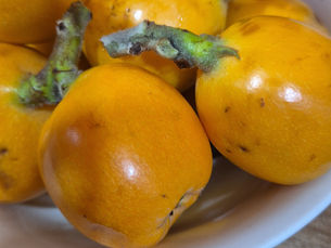 Day 9: Getting Into a Work Routine and Discovering a New Favorite Fruit