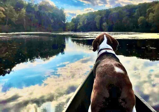 Dog-friendly destinations in Noble County