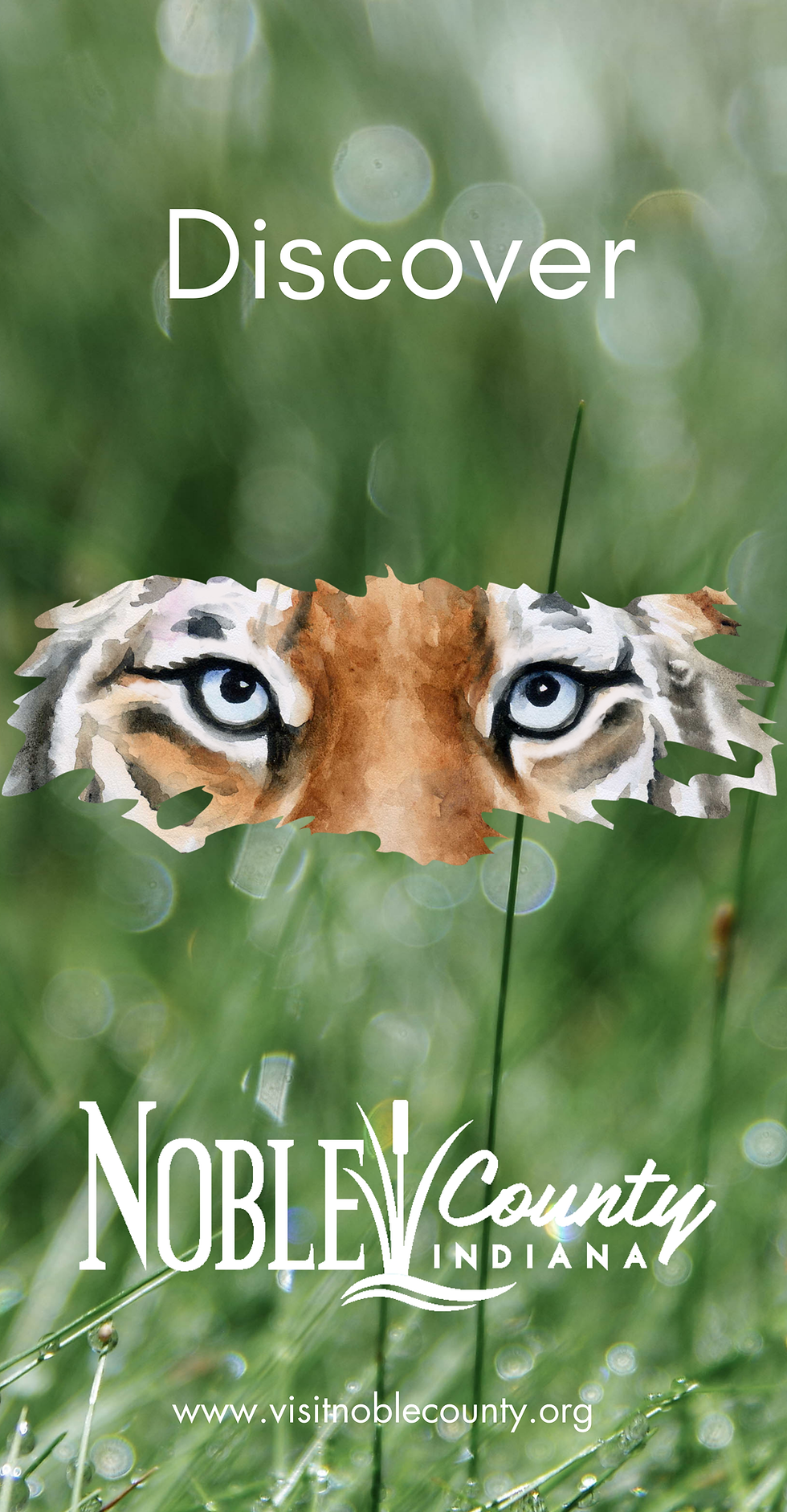 Calling All Artists: Your Chance to Shine in Noble County!