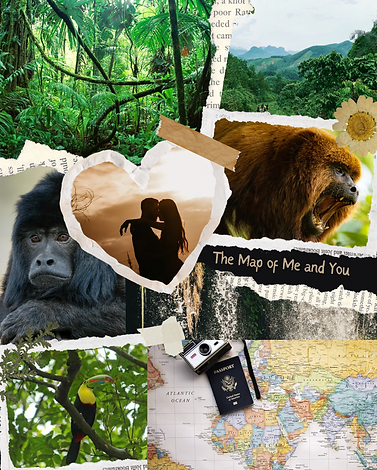 The Map of Me and You (1).PNG