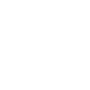 online-lesson.gif