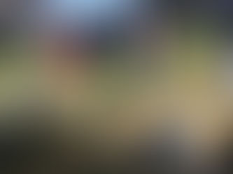 Jamboree 2019 in Amerika