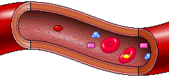 desktop_b5c137ab-8882-4563-bfbb-5fcfcd831206.gif