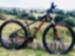 fullsizeoutput_3851.jpeg