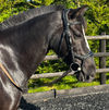 Millbeech Royal Roulette (Roo Roo)