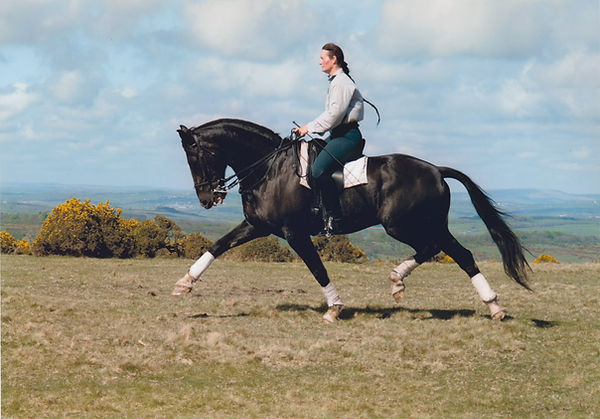 Sue riding out on the moor