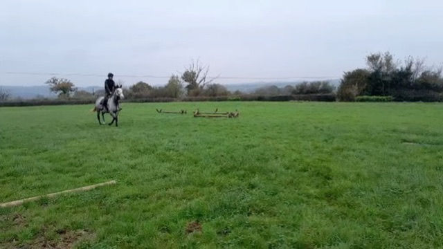 Training in the field