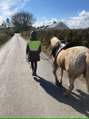 Out walking the horse