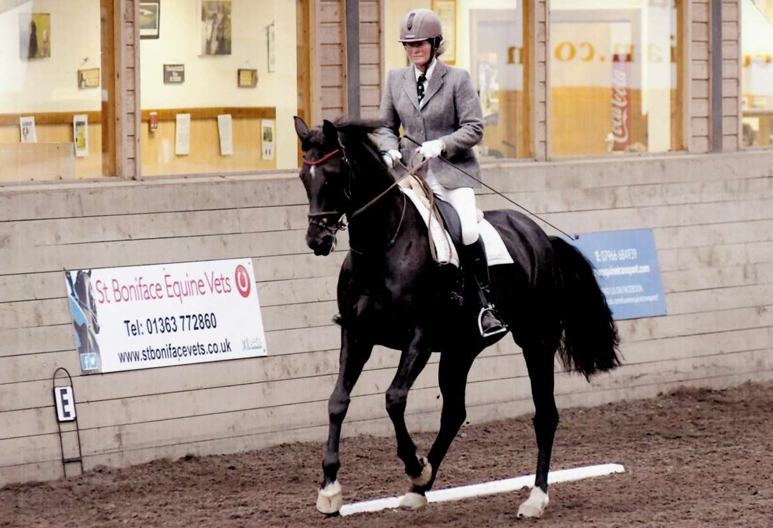 susan_frog_dressage_tiger_tor