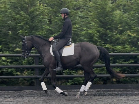 Training