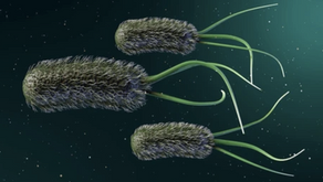 The Hidden Threat: How E. coli Exposure May Drive Early Bowel Cancer
