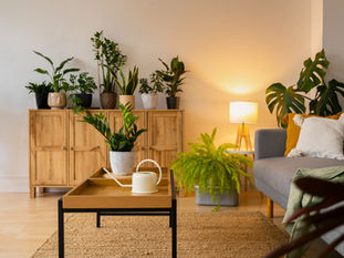 Understanding Sustainable Materials for Modern Flat Renovations