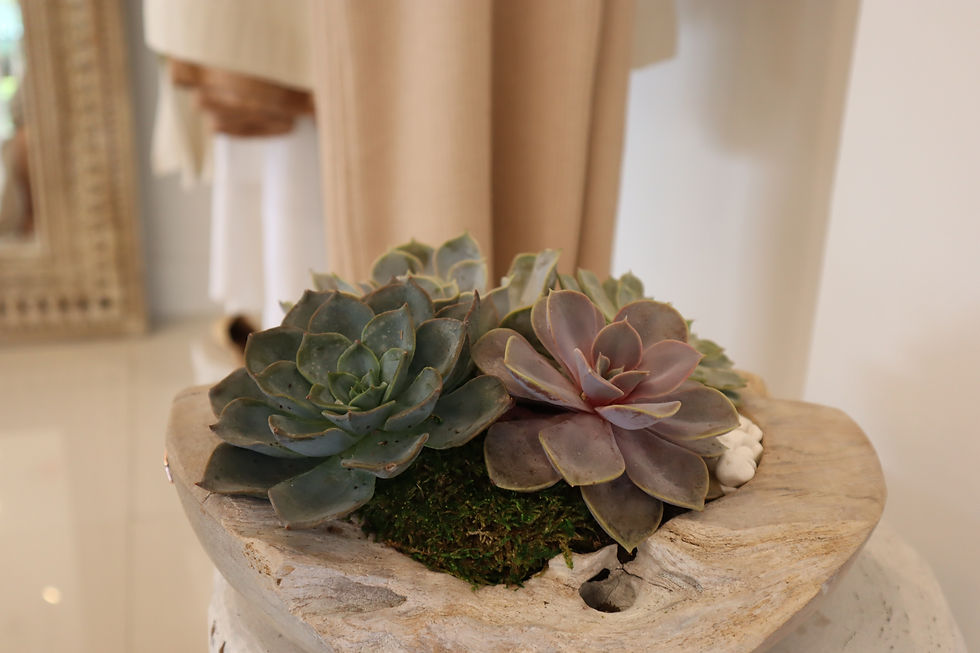 Thumbnail: Succulent Garden  |  Small