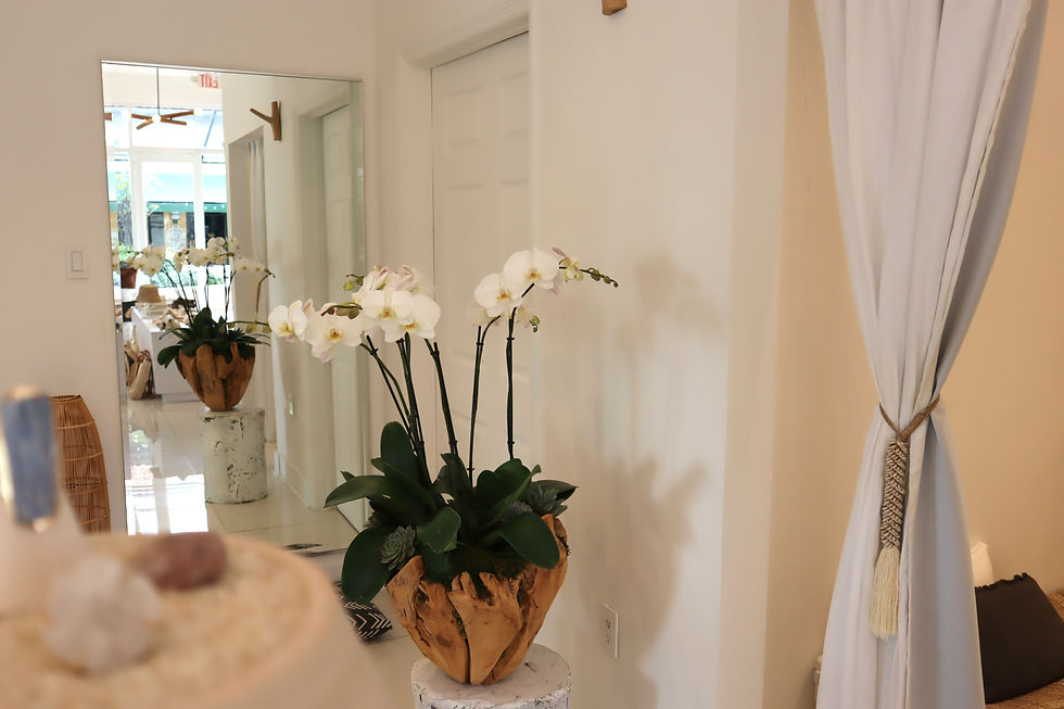 Thumbnail: Orchid Arrangement in Driftwood | Extra Large