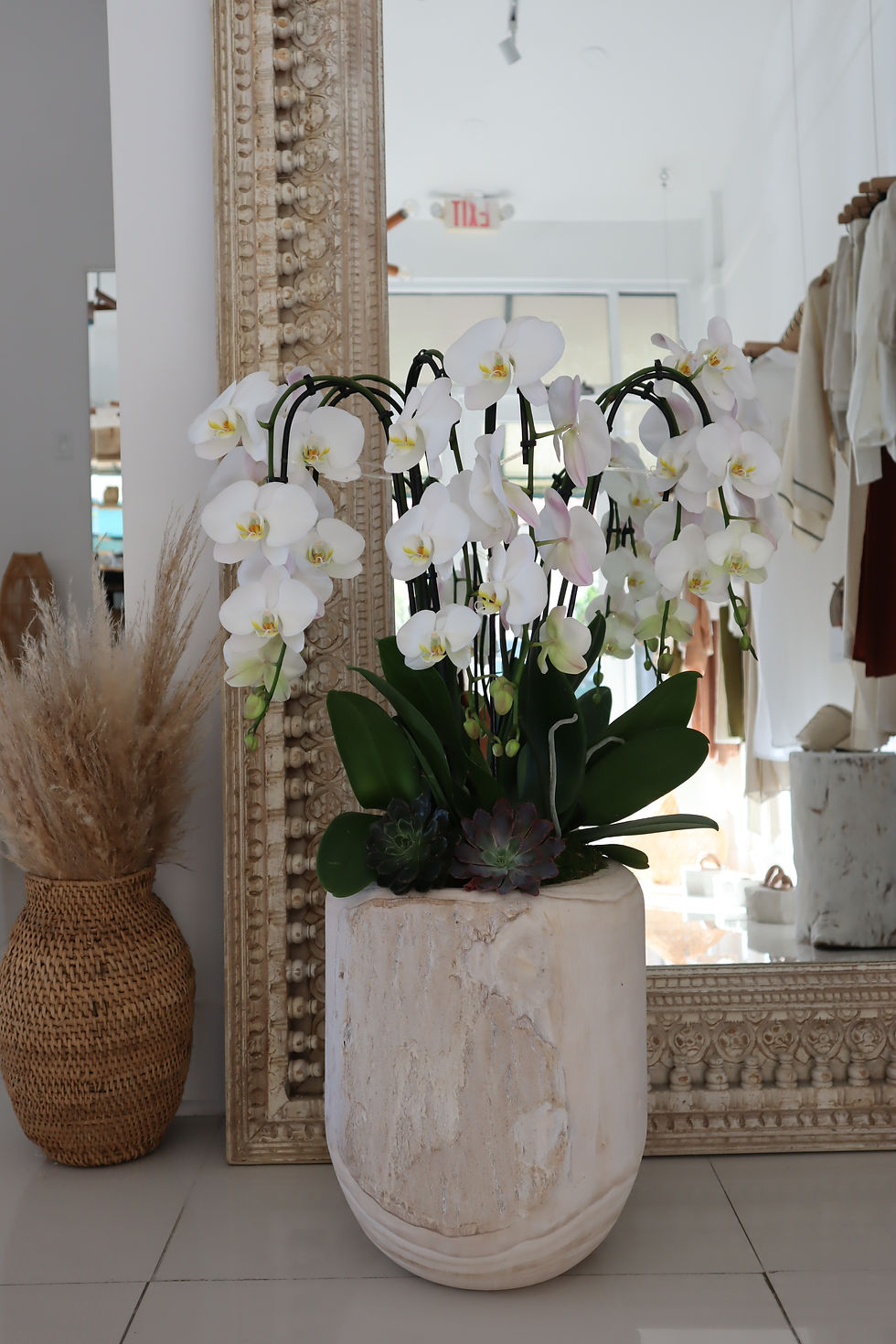 Thumbnail: Orchid Arrangement | XL Whitewashed Wooden Vase