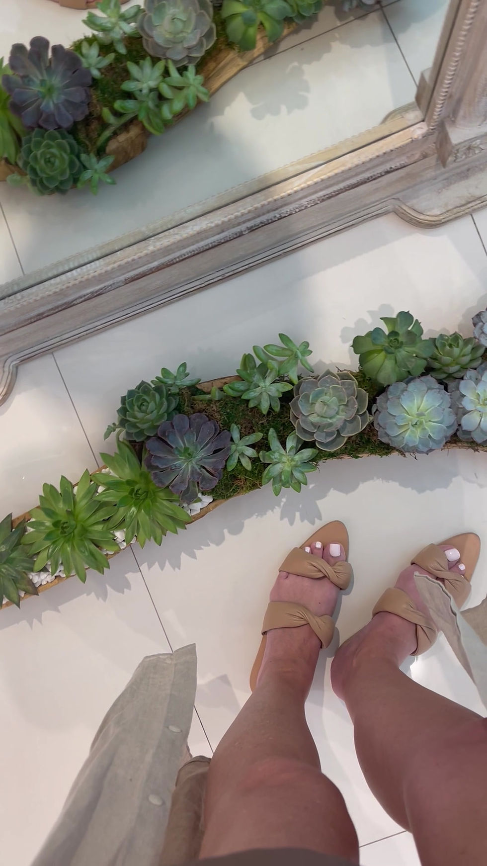Thumbnail: Succulent Garden in Log | Large