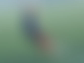 8 WEEK ACADEMY TRIAL FOR YOUNG MIDFIELDER