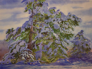 It's Finished - Just in time for another snowstorm!