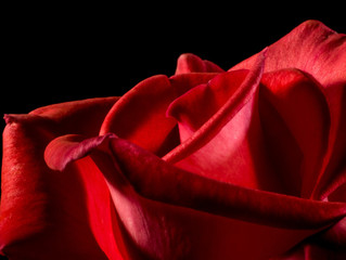 Wanted.....a Red painting!
