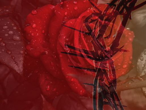 Thyatira:  The Thorny Church 