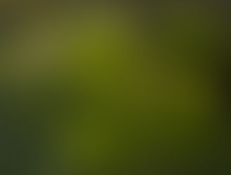 The Big Green Button