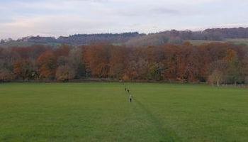 turville-woodland-family-walk-360x205.jpg