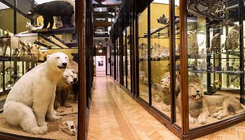 main_museum-360x205 (1).jpeg