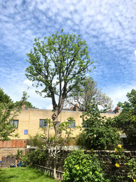 IMG_3260.jpeg