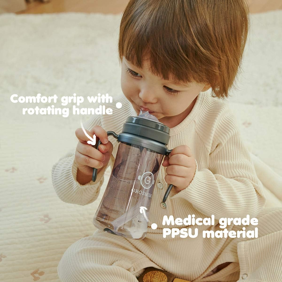 grosmimi sippy cup