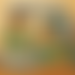 Countertop Dishwasher Saves Marriages