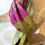 Thumbnail: Silk scarf  'A day in spring'
