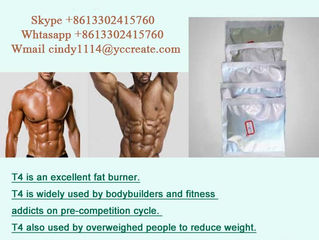 Anabolic Steroid powder T4 L-Thyroxine Sodium salt for weight loss