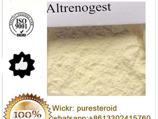 GMP Standard Estrogen Prohormone Powder Altrenogest