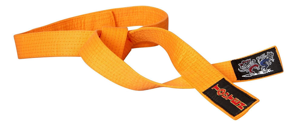 Μικρογραφία: TOP TEN    Karate belt “KAMPFKATZEN”  Code  050