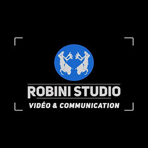 Logo Robini Studio profil.jpg