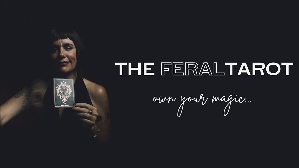 THE FERAL TAROT (Website).png