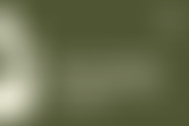 EDITAL DE CHAMAMENTO PÚBLICO Nº 03/2025 PROCESSO DE RECOMPOSIÇÃO DO CONSELHO FISCAL DA FAPUR 