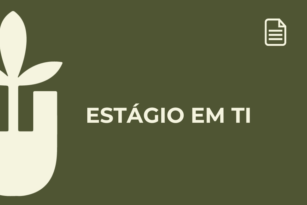 PROCESSO SELETIVO SIMPLIFICADO – ESTÁGIO EM TI
