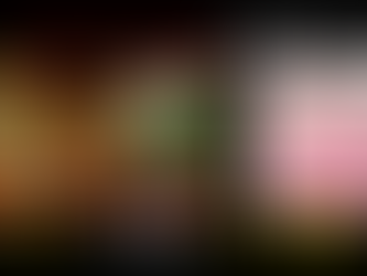 イタリアンブレインロットは誰が作った?ザビャンの立場とよくある質問