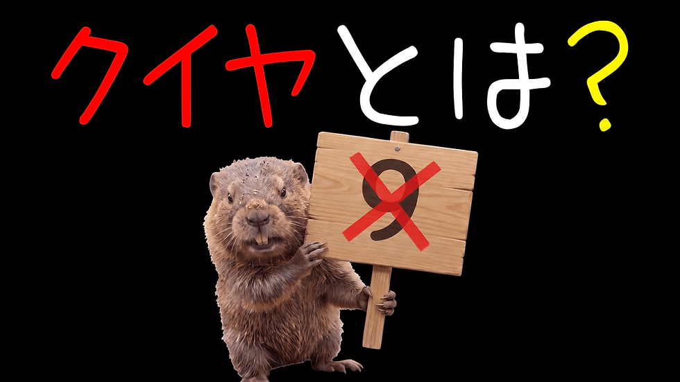 クイヤとは?