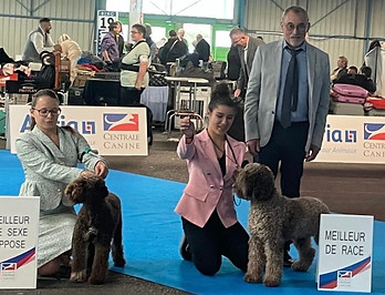 Championnat de France Montluçon.jpeg