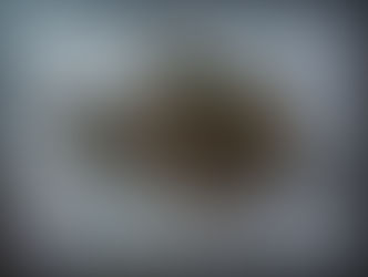 Embroidery Necklace labradorite