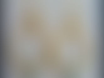 Orecchini con wire e swarovsky