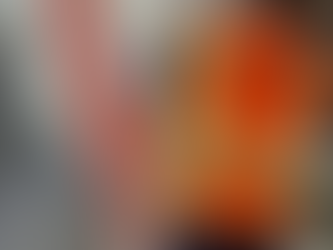 Lake Placid Dam November Project Summary